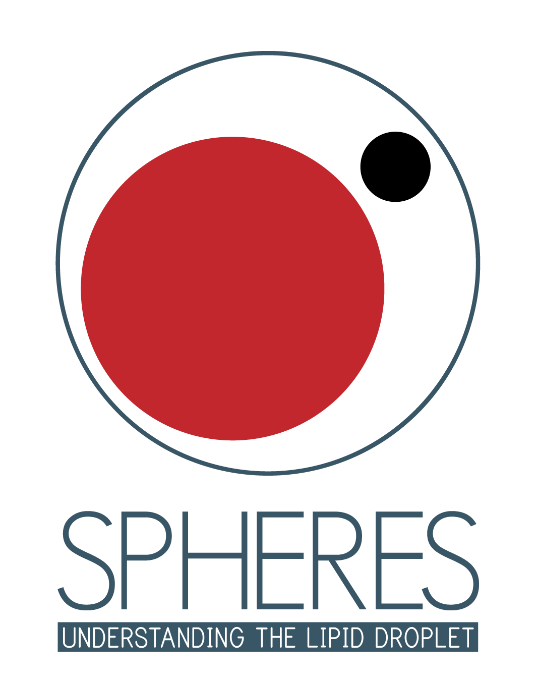 SPHERES Lipid droplet hypertrophy